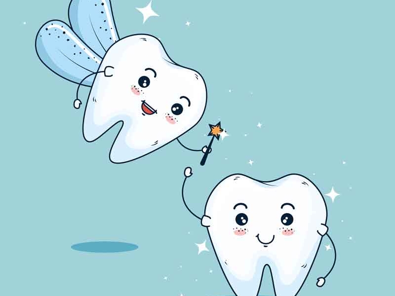 Süt Sağma Teknikleri ve Saklama Koşulları