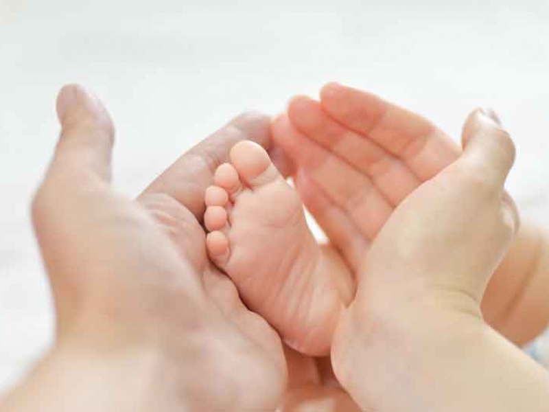 Süt Sağma Teknikleri ve Saklama Koşulları