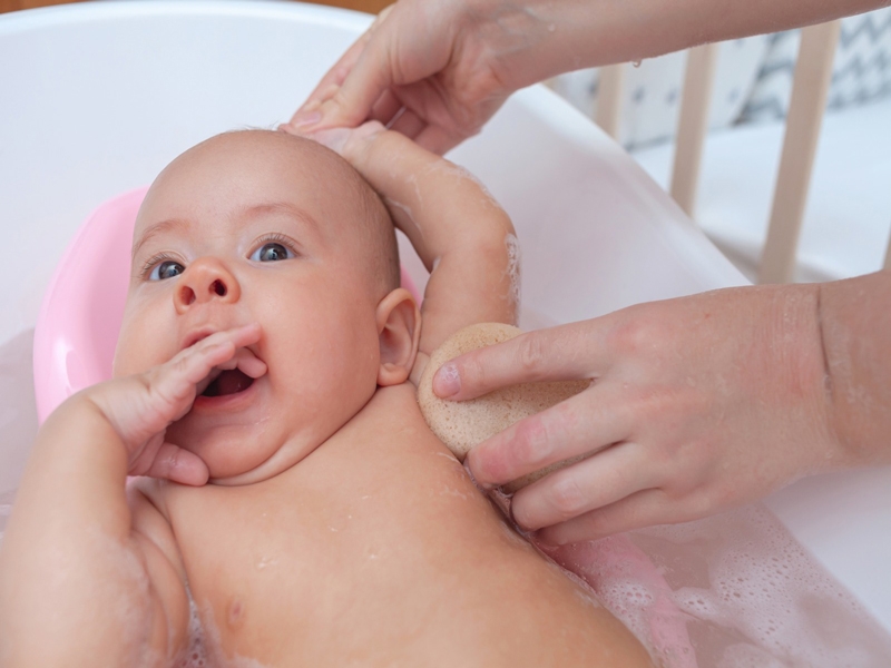 Süt Sağma Teknikleri ve Saklama Koşulları