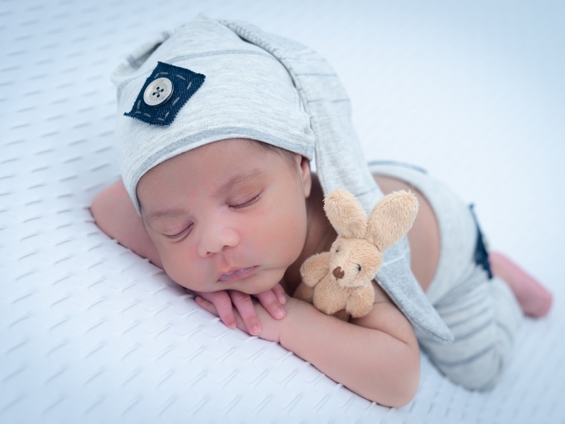 Süt Sağma Teknikleri ve Saklama Koşulları