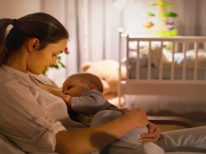 Süt Sağma Teknikleri ve Saklama Koşulları