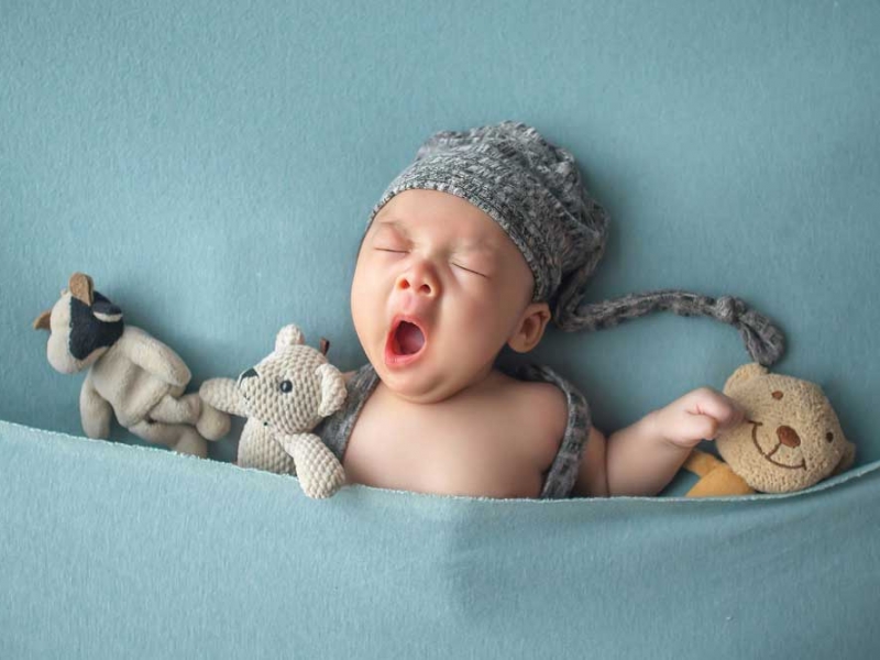 Süt Sağma Teknikleri ve Saklama Koşulları