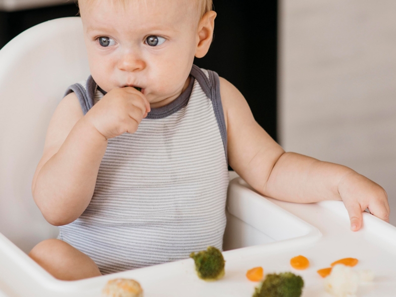 Süt Sağma Teknikleri ve Saklama Koşulları