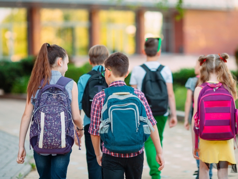 Süt Sağma Teknikleri ve Saklama Koşulları