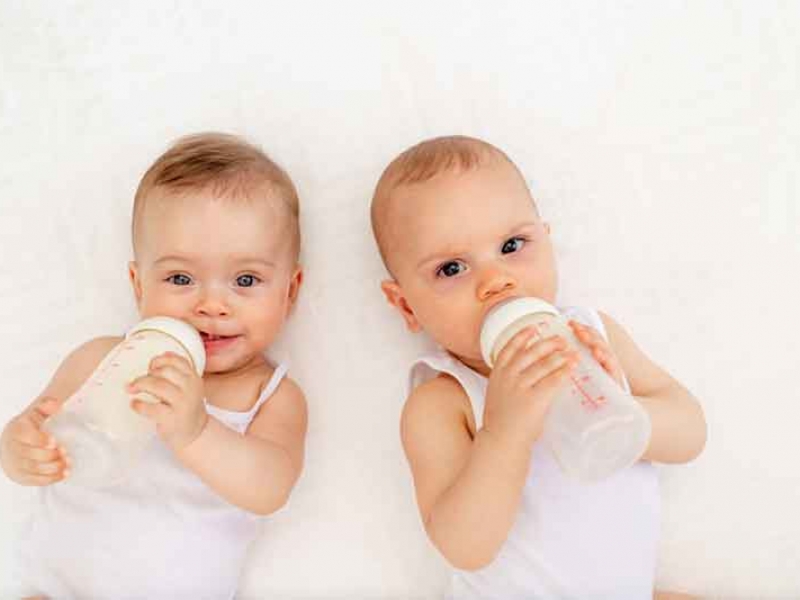 Süt Sağma Teknikleri ve Saklama Koşulları